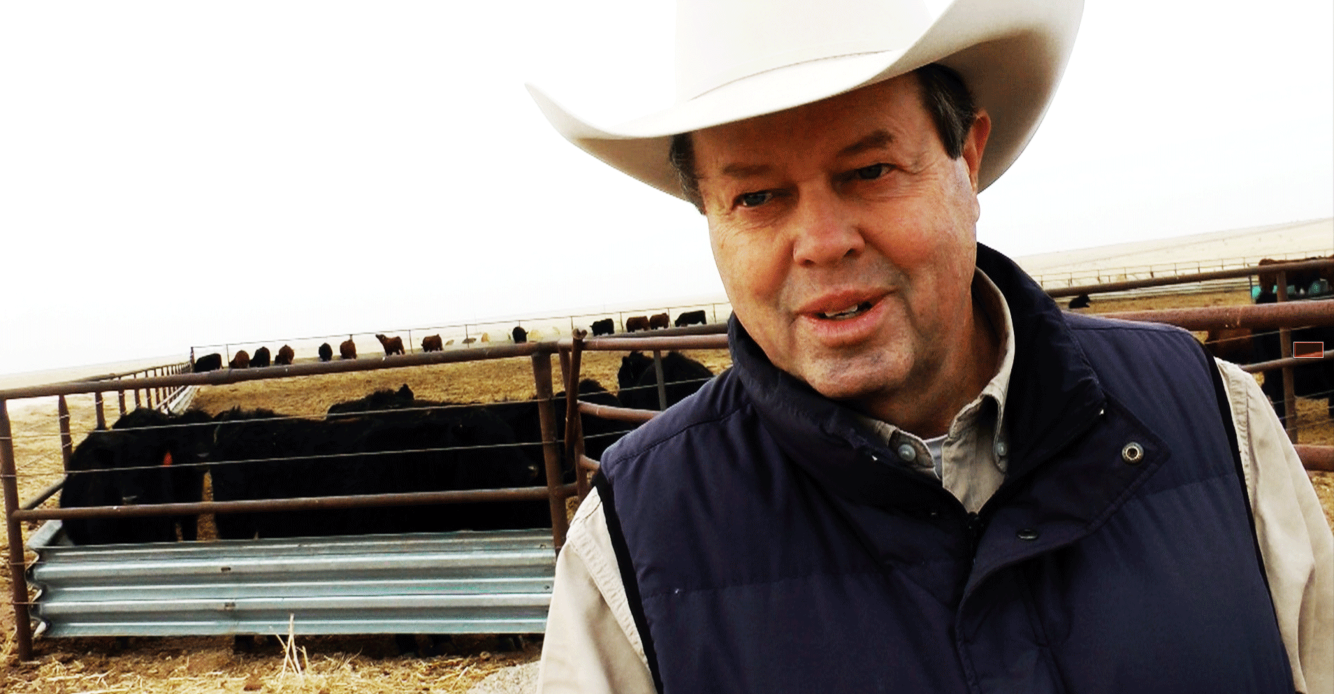 Texas ranchear John Perrin